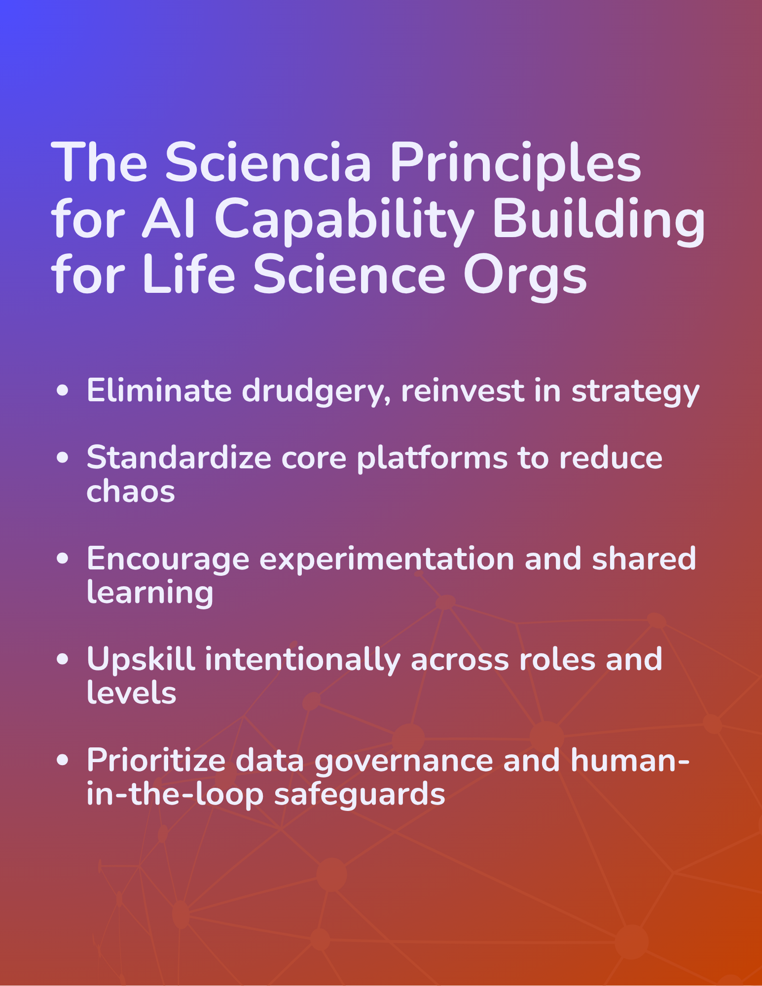 guiding AI principles